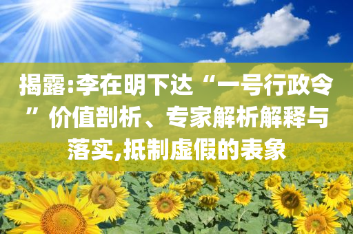 液体天然气公司，液体天然气公司，探索能源新领域