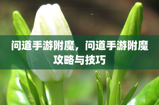 问道手游附魔，问道手游附魔攻略与技巧