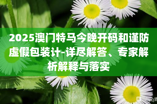 二四六天天好彩王中王，二四六天天好彩王中王的幸运之路
