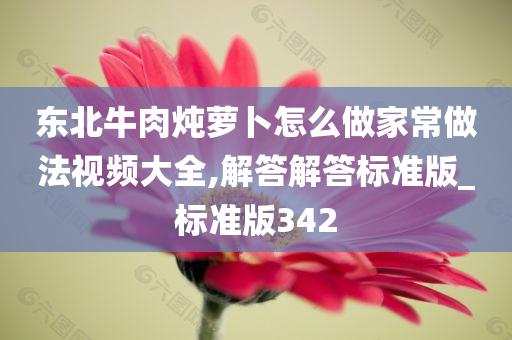 东北牛肉炖萝卜怎么做家常做法视频大全,解答解答标准版_标准版342今晚必出三肖2025_2025新澳门精准免费提供·精确判断