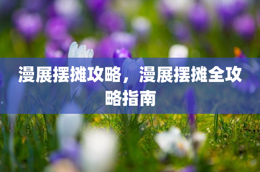 漫展摆摊攻略，漫展摆摊全攻略指南