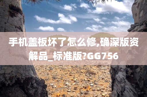 今晚必出三肖2025_2025新澳门精准免费提供·精确判断手机盖板坏了怎么修,确深版资解品_标准版?GG756