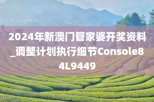 2024年新澳门管家婆开奖资料_调整计划执行细节Console84L9449