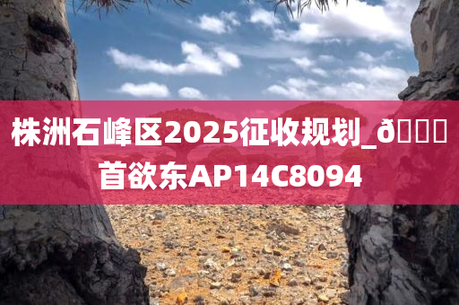 株洲石峰区2025征收规划_??首欲东AP14C8094