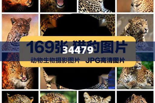 澳门大三巴