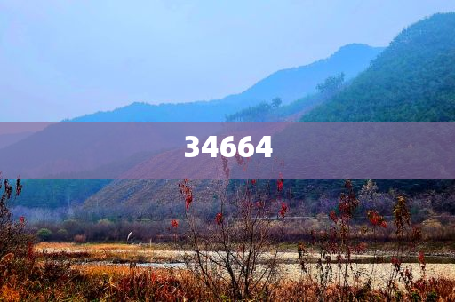 2024管家婆免费今晚资料大全中特_经济方案解析YE版84H7425