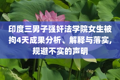 2024新澳开奖结果600图库，2024新澳开奖结果600图库全景解析