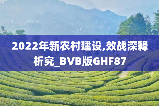 2022年新农村建设,效战深释析究_BVB版GHF87