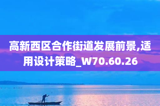 高新西区合作街道发展前景,适用设计策略_W70.60.26