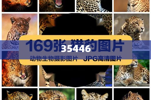 今晚会出什么特号王中王,落实迅速精选_RWR版?GJU86