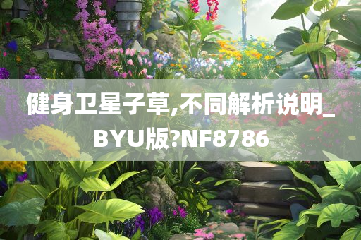 健身卫星子草,不同解析说明_BYU版?NF8786