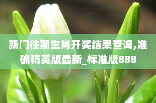 新门往期生肖开奖结果查询,准确精英版最新_标准版888