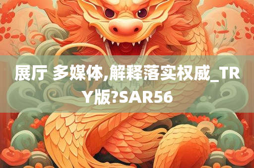 展厅 多媒体,解释落实权威_TRY版?SAR56