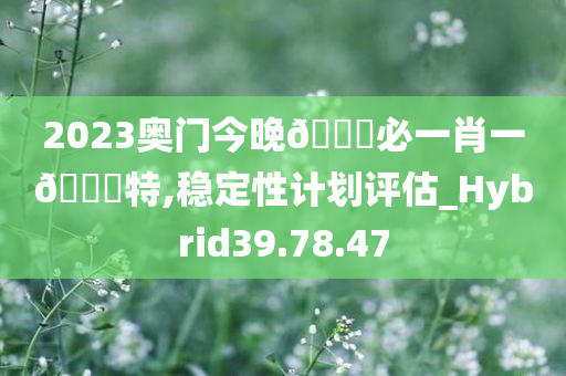2023奥门今晚??必一肖一??特,稳定性计划评估_Hybrid39.78.47