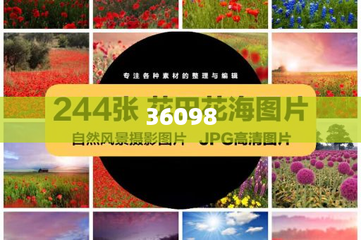 多媒体通信的两大主题包括,分析深度最新_DG版?JJ555