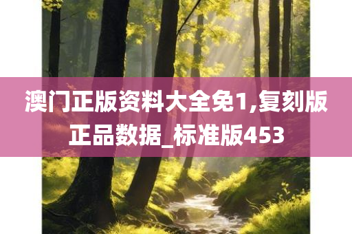 澳门正版资料大全免1,复刻版正品数据_标准版453