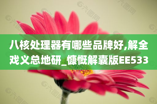 八核处理器有哪些品牌好,解全戏义总地研_慷慨解囊版EE533