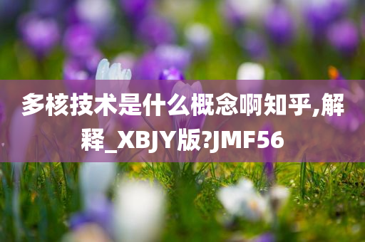 多核技术是什么概念啊知乎,解释_XBJY版?JMF56