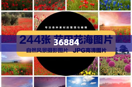 美女跳舞夸奖句子,解全戏义总地研_慷慨解囊版EE533