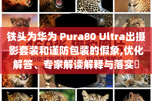 港澳彩资料最新最全篇，港澳彩资料最新最全篇，警惕违法犯罪风险