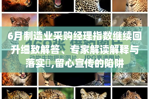 2024年澳门免费资料大全8，关于澳门免费资料大全的违法犯罪问题探讨