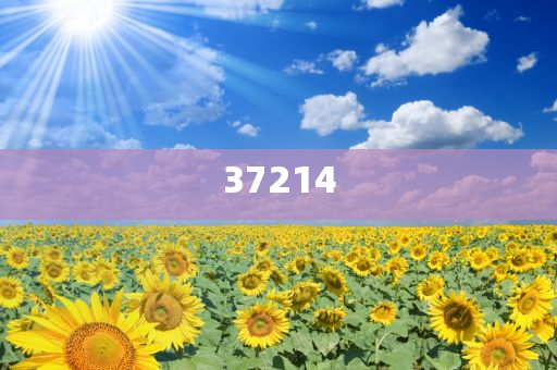 管家婆2024年一码中,标准版_FF45