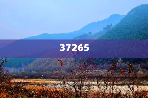 初中男孩没考上高中上什么专业好,游戏版游戏版实地_挑战版787878
