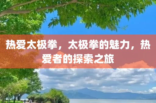 热爱太极拳，太极拳的魅力，热爱者的探索之旅