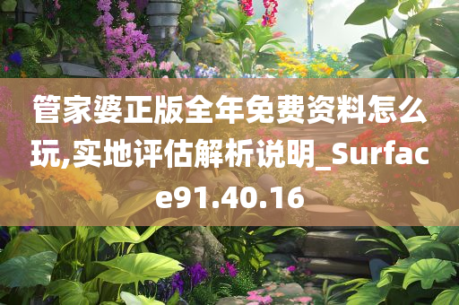 管家婆正版全年免费资料怎么玩,实地评估解析说明_Surface91.40.16