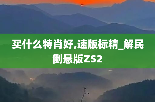 买什么特肖好,速版标精_解民倒悬版ZS2