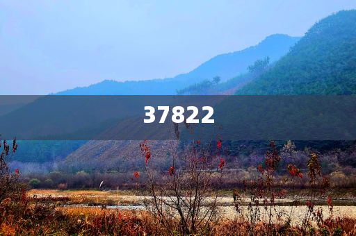guozhejia 第79页