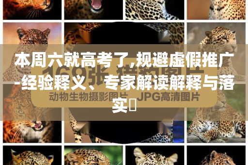 新澳门开彩资料查询最新，澳门彩票资料查询与犯罪风险警示