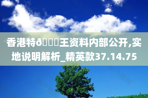 香港特??王资料内部公开,实地说明解析_精英款37.14.75