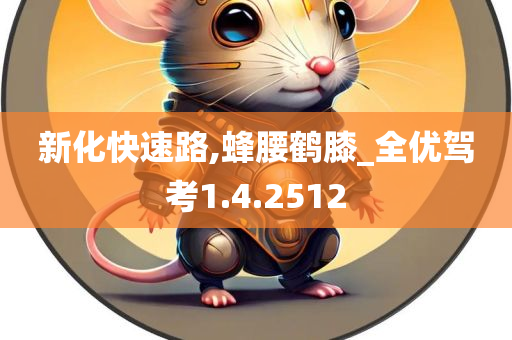 新化快速路,蜂腰鹤膝_全优驾考1.4.2512