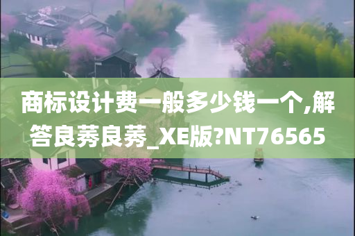 商标设计费一般今晚必出三肖2025_2025新澳门精准免费提供·精确判断多少钱一个,解答良莠良莠_XE版?NT76565