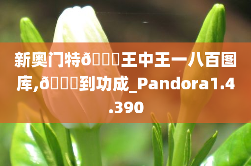 新奥门特??王中王一八百图库,??到功成_Pandora1.4.390