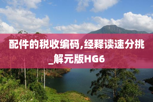 配件的税收编码,经释读速分挑_解元版HG6
