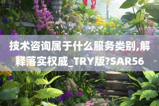 技术咨询属于什么服务类别,解释落实权威_TRY版?SAR56