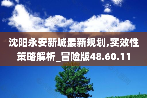 沈阳永安新城最新规划,实效性策略解析_冒险版48.60.11