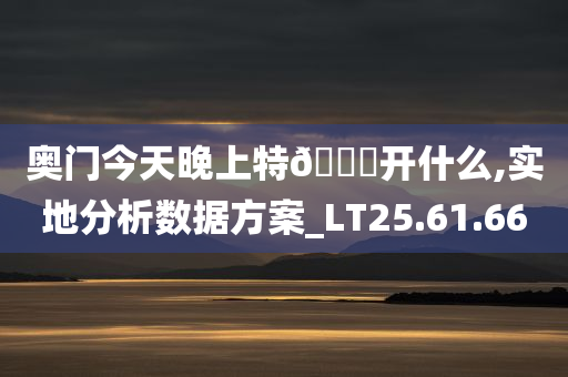 奥门今天晚上特??开什么,实地分析数据方案_LT25.61.66