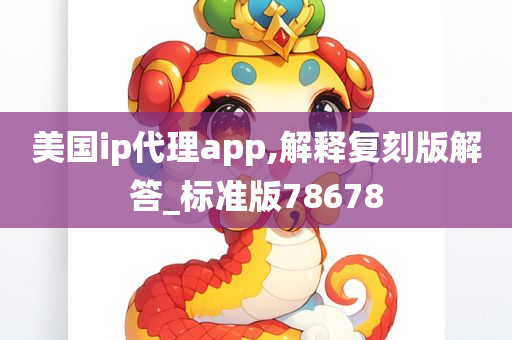 美国ip代理app,解释复刻版解答_标准版78678