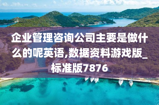 企业管理咨询公司主要是做什么的呢英语,数据资料游戏版_标准版7876