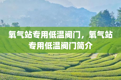 氧气站专用低温阀门，氧气站专用低温阀门简介