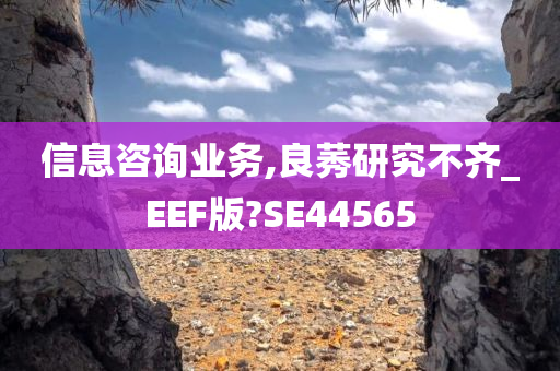 信息咨询业务,良莠研究不齐_EEF版?SE44565