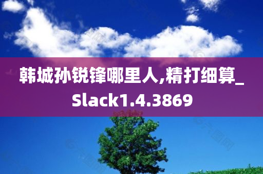 韩城孙锐锋哪里人,精打细算_Slack1.4.3869