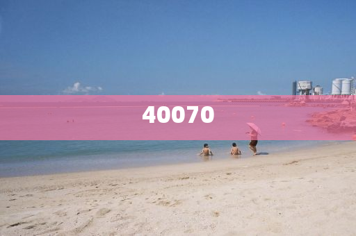 2024奥采管家婆资料正版大全,专业分析解释定义_户外版187.64.37