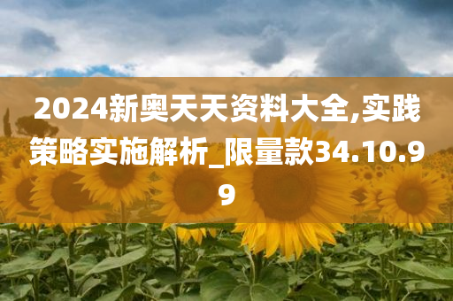 2024新奥天天资料大全,实践策略实施解析今晚必出三肖2025_2025新澳门精准免费提供·精确判断_限量款34.10.99
