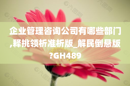 企业管理咨询公司有哪些部门,释挑领析准析版_解民倒悬版?GH489