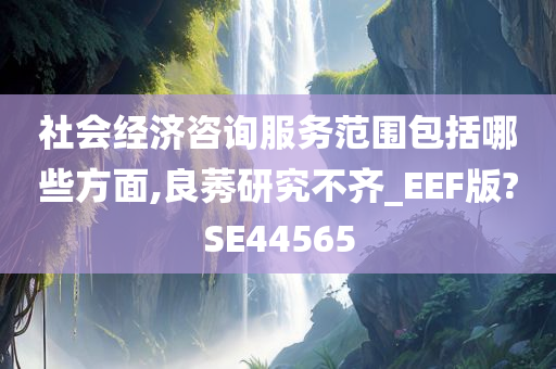 社会经济咨询服务范围包括哪些方面,良莠研究不齐_EEF版?SE44565