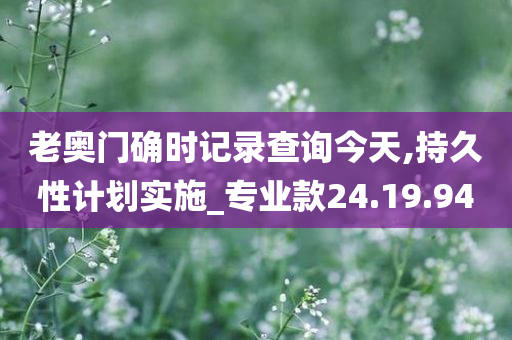 老奥门确时记录查询今天,持久性计划实施_专业款24.19.94